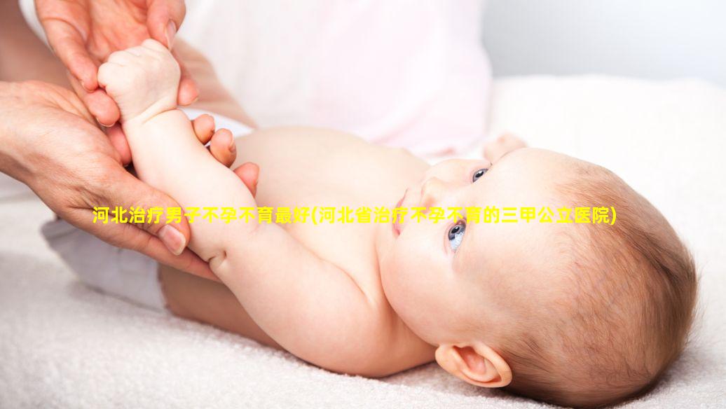 河北治疗男子不孕不育最好(河北省治疗不孕不育的三甲公立医院)